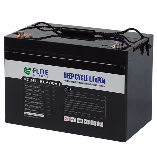 Akku-Pack Li-Ionen-Lithium-Akku 12 V 100 Ah Lithium-Eisenphosphat für mit Bluetooth