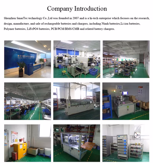 Lithium-Eisenphosphat-Batterie, 48 V, 120 Ah, Li-Ionen-Akku mit BMS für Start-/Backup-Batterie